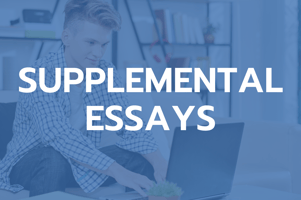 Supplemental Essays